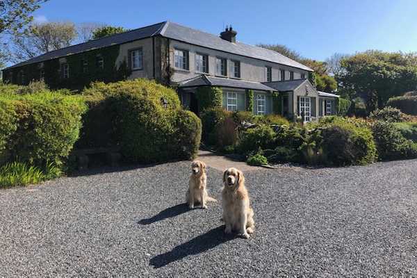 Bailey and Jackson in the car park