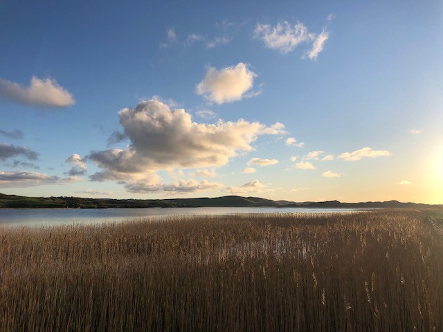 Misty view of new lake at sun rise